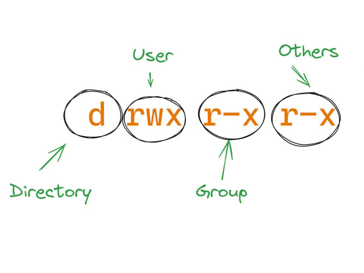 drwxrxrx or rwxrxrx A Step by Step Explanation Linux Digest